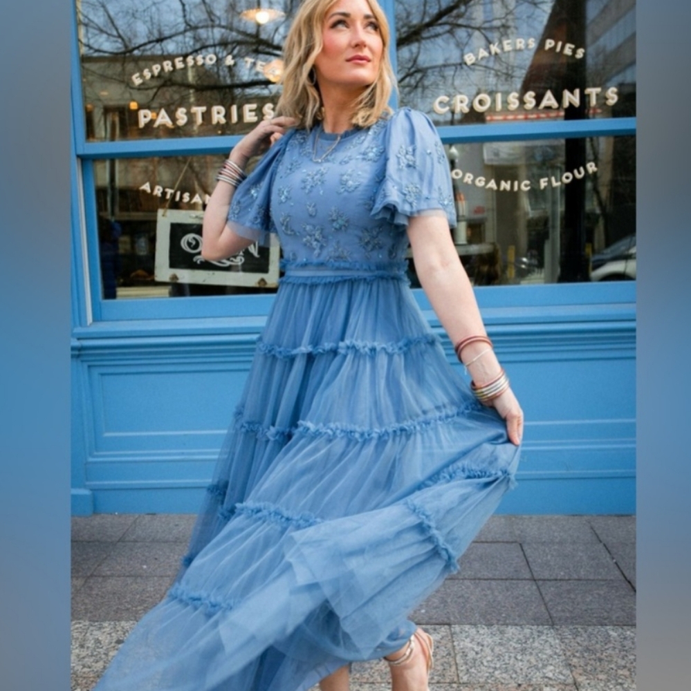 NWT Ivy City Co Anastasia Dress in Blue 2XL